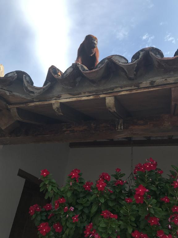 Bed and Breakfast La Casa Amarilla Mompox Exterior foto